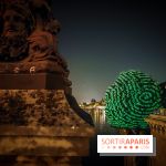 Nuit Blanche 2023 : des projections lumineuses magiques au Square du Vert Galant de l'Île de la Cité - IMG20230603001252