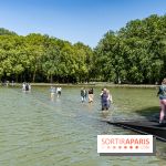 Le Gué, l'installation éphémère du Domaine de Sceaux qui fait marcher sur l'eau