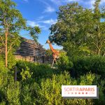 Nocturnes au Parc Zoologique de Paris - IMG 3513