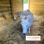 La ferme de la Villette et ses animaux - image00021