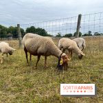 La ferme de Saint-Cyr l'Ecole