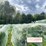Le parc Georges Brassens, pour se croire à la campagne dans le 15e