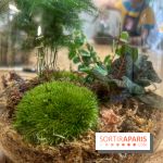 Boby la Plante