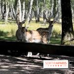 Espace Rambouillet - IMG 4544