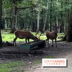 Espace Rambouillet - IMG 4547