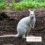 Le village de Janvry en Haute Vallée de Chevreuse  -  A7C0025
