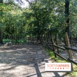 Le village de Janvry en Haute Vallée de Chevreuse  -  A7C0062