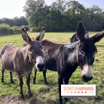 La Ferme des 4 Etoiles à Auffargis - image00002