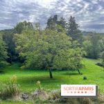 La maison littéraire de Victor Hugo, joyau patrimonial à Bièvres (91) - image00016