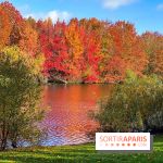 Bassin - étang de la Boissière à Elancourt