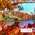 Bassin - étang de la Boissière à Elancourt