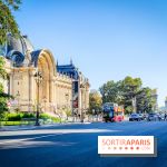 Cortical Nights, the contemporary exhibition by Loris Gréaud which is transforming the Petit Palais - photos - IMG20231002164823