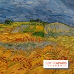 Exposition Van Gogh au Musée d’Orsay - Auvers-sur-Oise, les derniers mois -  A7C3103