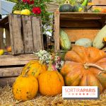 Automne au Potager du Roi - Citrouilles - Halloween