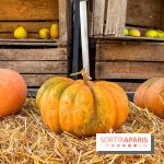 Automne au Potager du Roi - Citrouilles - Halloween