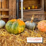 Automne au Potager du Roi - Citrouilles - Halloween