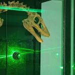 Campagne #31450 - IMG 20250212 152439