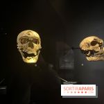 Le musée de l'Homme - collections permanentes