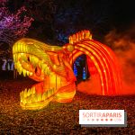 Odyss&eacute;e Lumineuse, le festival des lumi&egrave;res au Parc Floral - IMG 2527