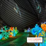 Festival Dragons et Lanternes - Jardin d'Acclimatation - image00141