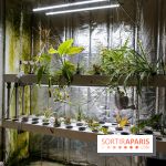 La Caverne, ferme urbaine bio à Paris, nos photos