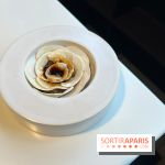 Vaisseau d'Adrien Cachot - Champignons