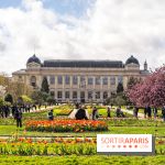 Visuel Paris 5e -  jardin des plantes - museum - printemps - cerisiers