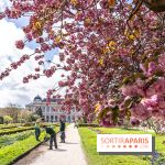 Visuel Paris 5e - jardin des plantes - museum - printemps - cerisiers