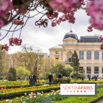 Visuel Paris 5e -  jardin des plantes - museum - printemps - cerisiers