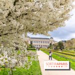 Visuel Paris 5e - jardin des plantes  - printemps - cerisiers