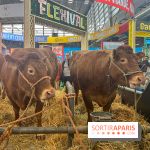 Salon de l'agriculture 2024