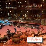 Grande Galerie de l'évolution- visuels 2024 - image00033