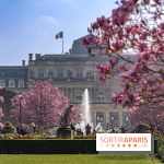 Les magnolias du Jardin du Palais Royal  - printemps - visuel Paris