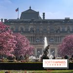 Les magnolias du Jardin du Palais Royal  - printemps - visuel Paris
