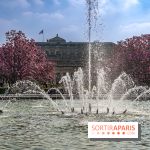 Les magnolias du Jardin du Palais Royal  - printemps - visuel Paris - fontaine - chaleur - beau temps