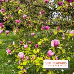 Jardin de l'Ecole du Breuil - nos photos - image00014