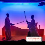 Duels, l'exposition qui nous plonge dans l'art du combat au musée de l'Armée - nos photos - IMG20240423100804