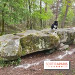 Dolmen de la Pierre Ardoue - IMG 0985