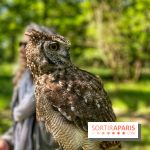 Fauconnier d'un jour - IMG 1419