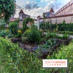Le Château de Blandy-les-Tours en Seine-et-Marne (77), nos photos