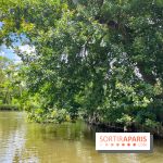 Domaine de Chamarande - nos photos - image00007