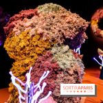 “Forêts astrales” : nos photos de l'exposition gratuite à voir à l'Institut suédois à Paris - IMG 5982