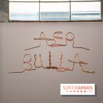 Exposition Praesentia de Myriam Mihindou au Palais de Tokyo - DSC 1631