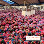 Fondation Cherqui - nos photos - image00003