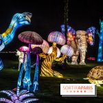 Thoiry Lumières Sauvages 2024, les Voyages Extraordinaires de Jules Verne - photos -  A7C5532
