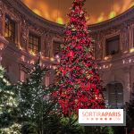 Noël 2024 au Château de Vaux-le-Vicomte : une expérience magique avec une patinoire