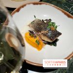 Onyx - Poisson, carotte, gingembre