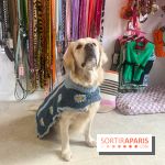 CAYU Canidés Club, la boutique d'accessoires dog friendly - nos photos