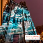 Lueurs de Mantes 2024, le parcours lumineux dans les Yvelines - photos -  A7C9178