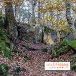 Randonnée à Fontainebleau : le sentier sur les pas de Denecourt jusqu’à la Tour Denecourt -  A7C7562
